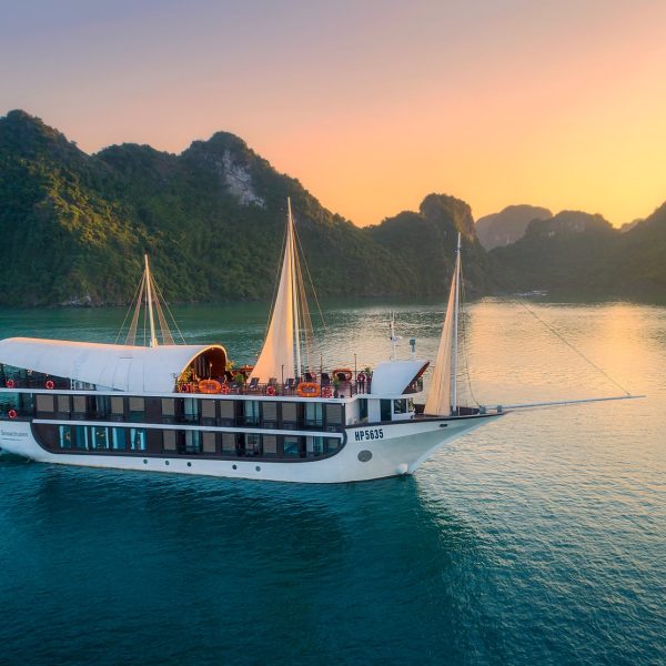 Sena Cruises 2 Days 1 Night