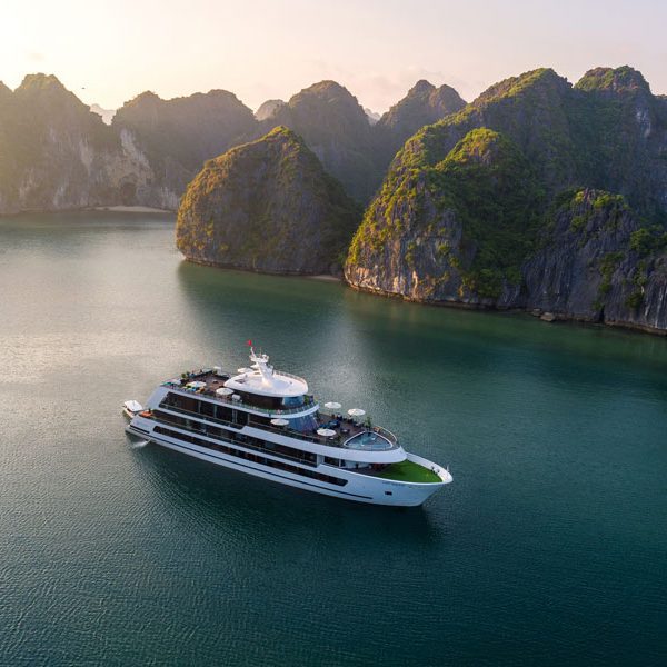 Top-Notch Cruises