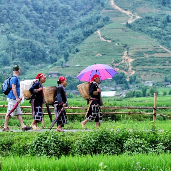 Sapa – Muong Hoa valley tour (by bus) – 3days-2nights – Hotel stay & Homestay