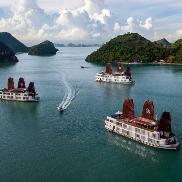 Pelican Glory 2 days 1 night