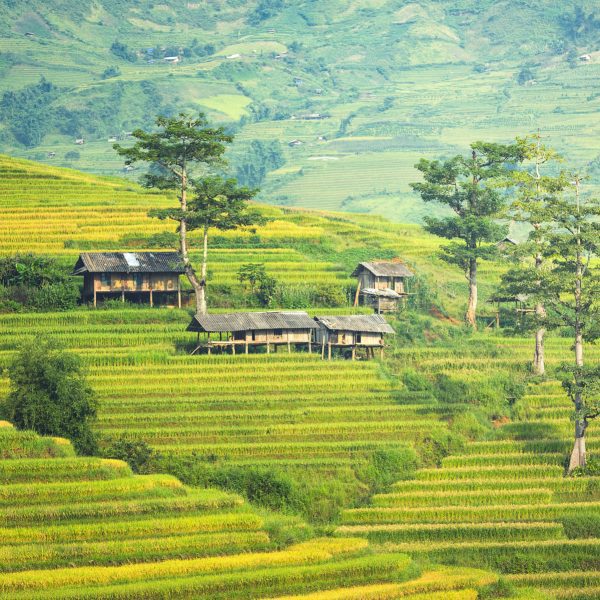 Sapa Tours