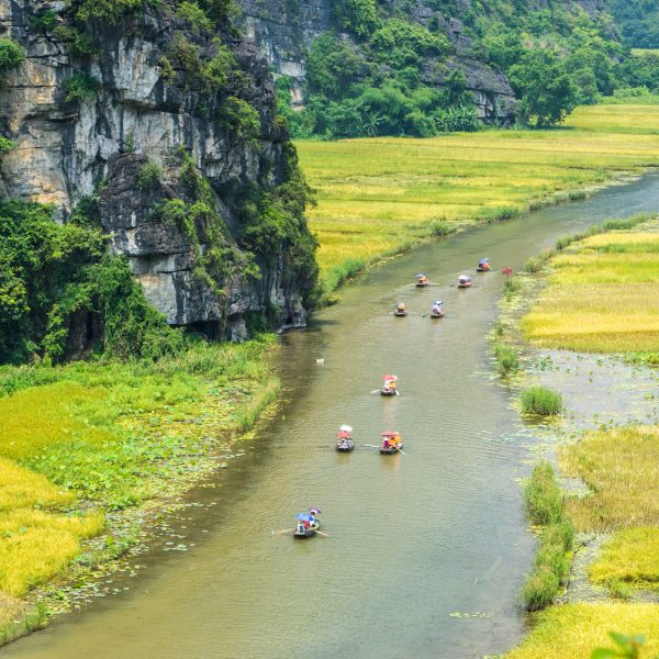 Hoa Lu – Tam Coc Tour Full Day